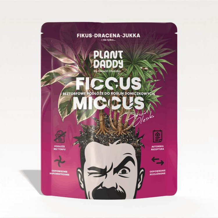ficcusmiccus.webp