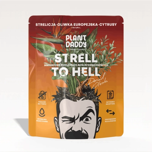 strell-to-hell.webp
