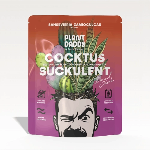cocktus-1.webp
