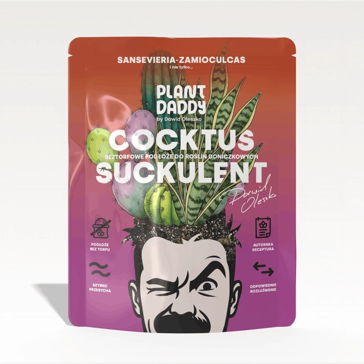 cocktus-1.webp