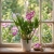 storczyk dendrobium.webp