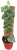 monstera dubia.webp