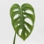monstera monkey mask.webp