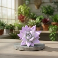 echeveria miranda.webp
