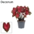 caladium red.webp