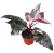 philodendron pink princess marble.webp