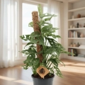 monstera monkey mask.webp