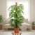 monstera monkey mask.webp