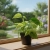 epipremnum marble queen.webp