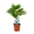 a86f9aa0-2f14-4cfd-8504-8b39af18fd0e (1).webp