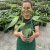 monstera burle marx flame.webp